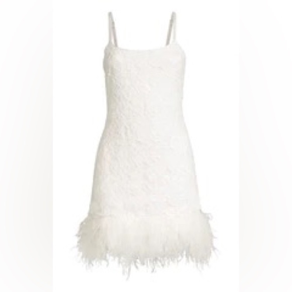 Feather Trimmed Lace Dress